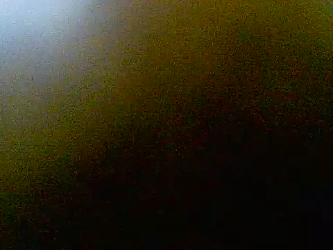 VErgoDW webcam