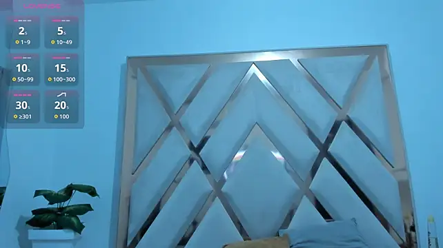 mitch_asm webcam