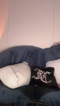 allpawgsgotoheaven webcam