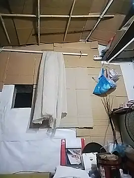 Marui-009 webcam