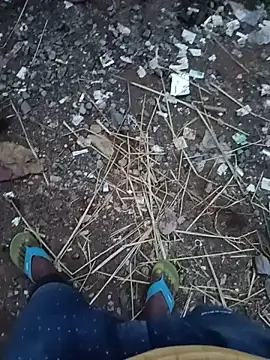 Odisha_12345_model webcam