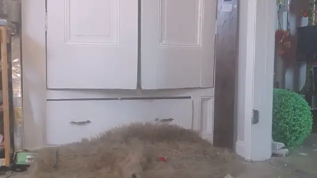 nastydianastrips's live room