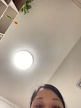 Daji-mm webcam