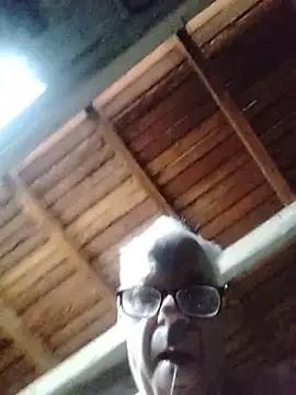 AIDIl63 webcam