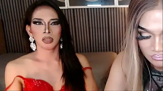 PrettyHorseCockTrans