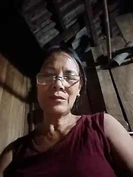 toyo_668 webcam