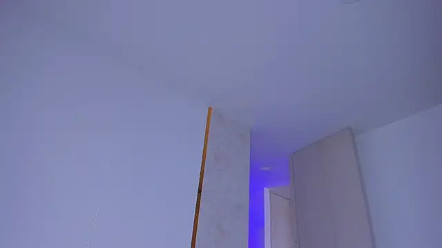 Lisegg_ webcam