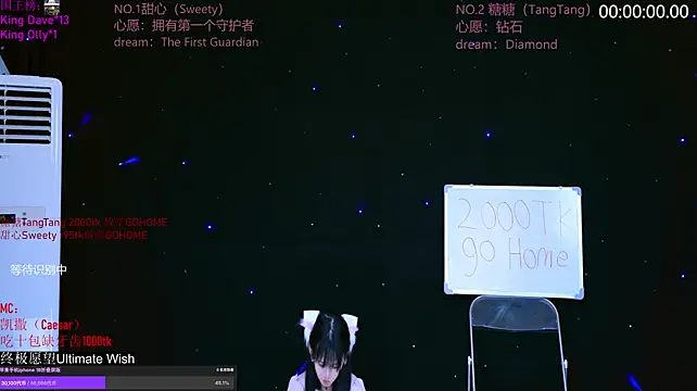 CCTW-100 webcam
