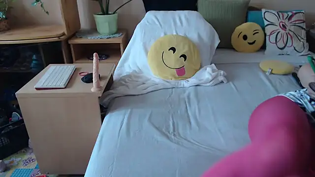 Dorina webcam