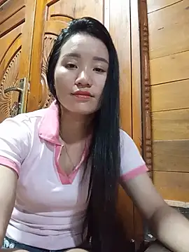 Td3di webcam