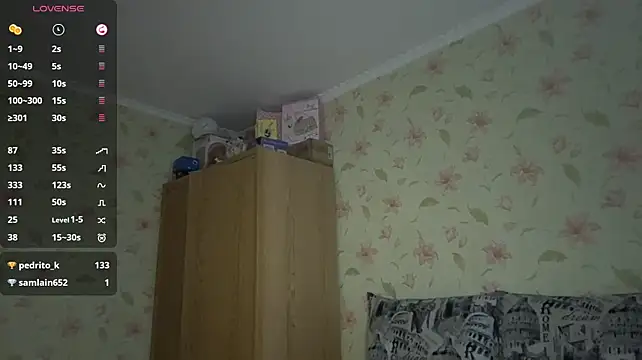 HootedIlk webcam