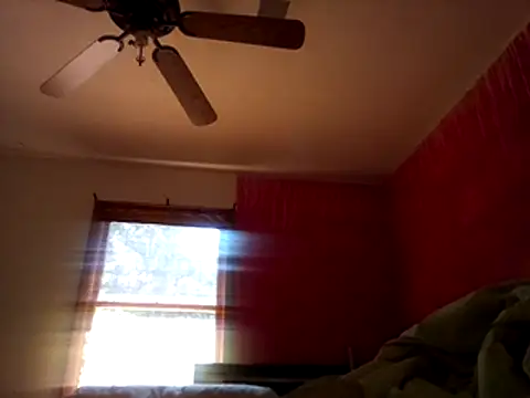 Blkstylion webcam