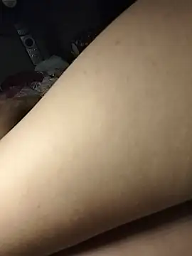 -sansan- webcam