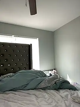 ToyaThick webcam