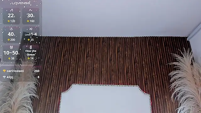 _Cherry_fox webcam