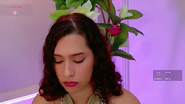 Sophie-Waldorf webcam