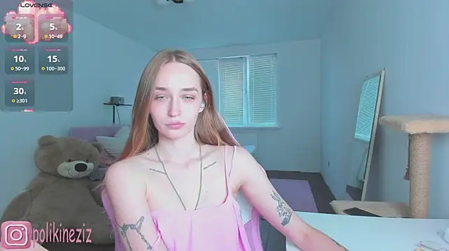 MoonDust webcam