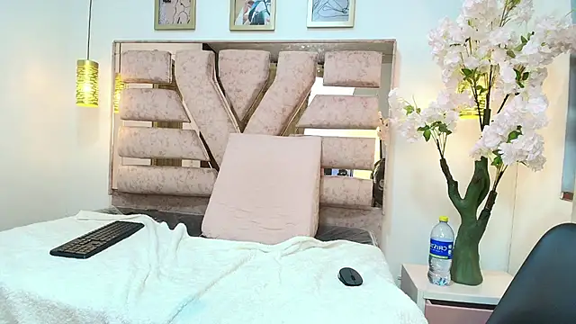 LumiSmith webcam