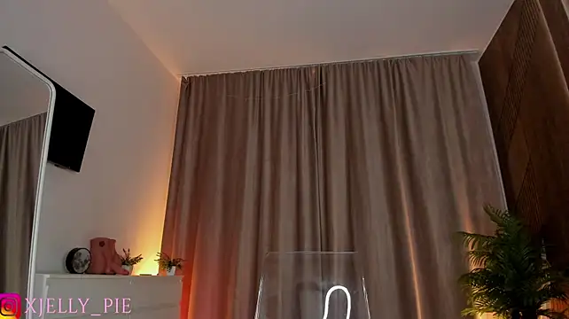 JellyPie webcam