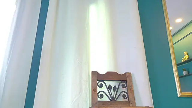 ale_cam webcam