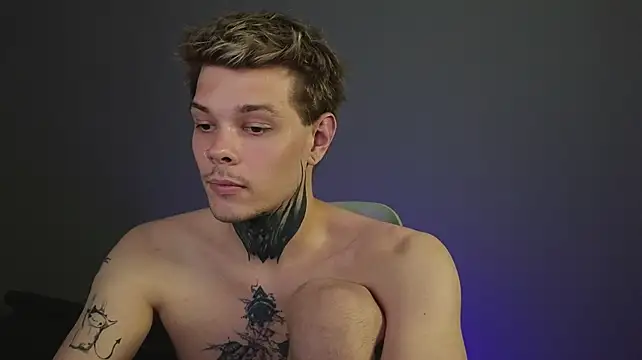 DENIS_HERE webcam