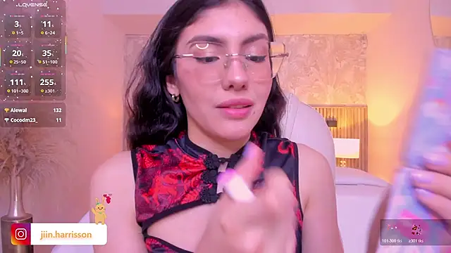 Jin-harrison webcam