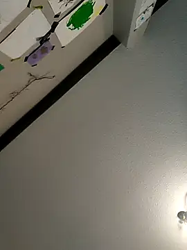 haetsaa webcam