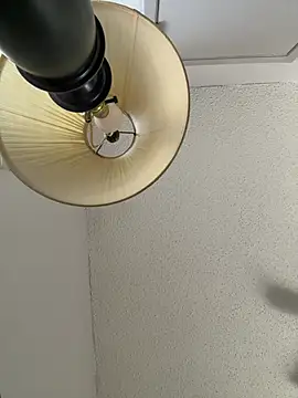 puchibad webcam