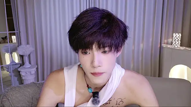 RenZeng webcam