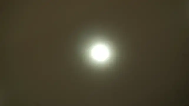 ElinPoston webcam