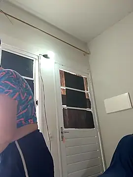 MILEIDE980 webcam