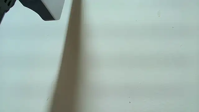 Eda_Bonne webcam