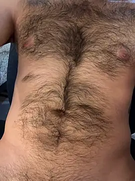 Wolff77 webcam