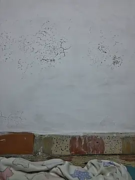 Ary-18 webcam