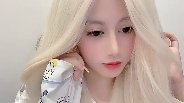 -Cinderella- webcam