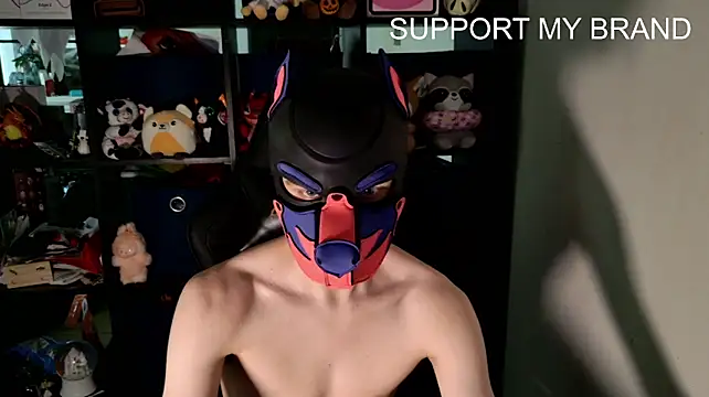 MellPUP webcam