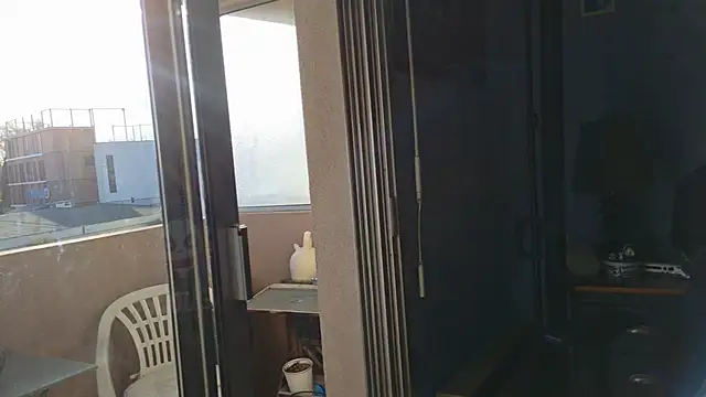 panda_06200 webcam