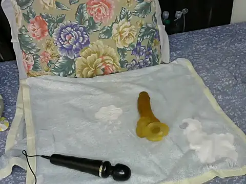 slim_mee webcam
