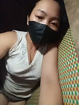Hiha-nn webcam