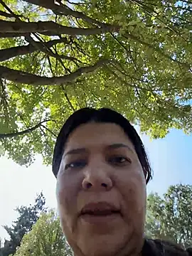 Miapoleth webcam