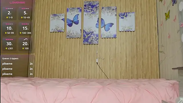 Moonceleste webcam