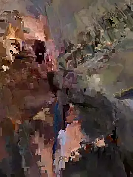 DenBeenDikN webcam
