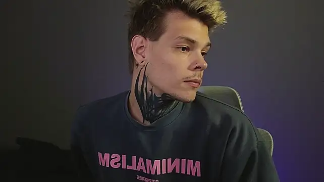 DENIS_HERE webcam