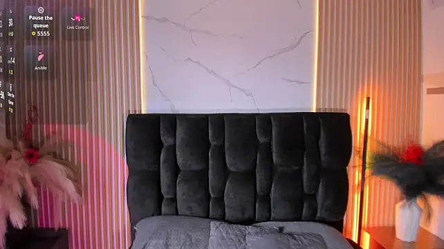paulys_ webcam