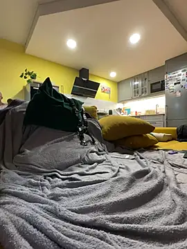 smint06 webcam
