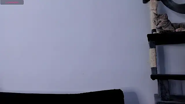 Anniewine_ webcam
