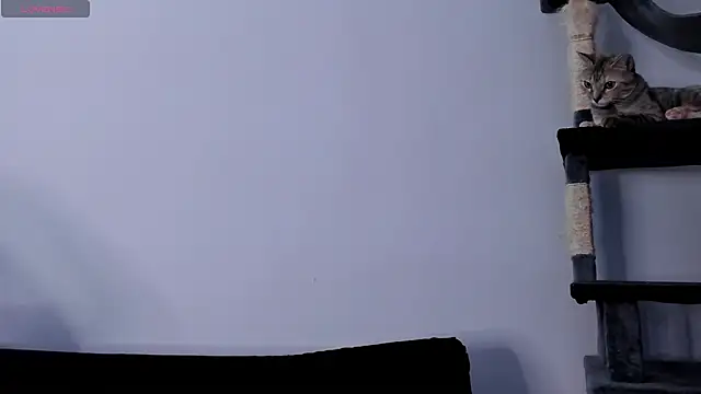 Anniewine_ webcam
