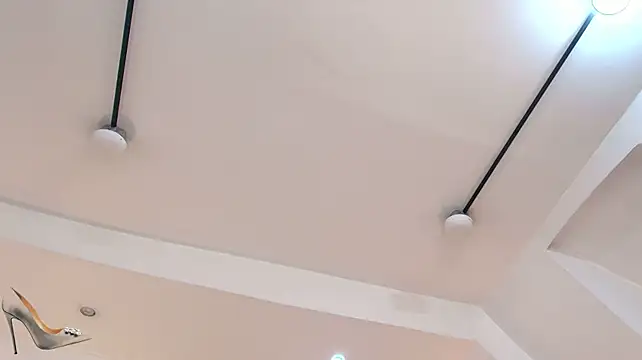 VanesaValet