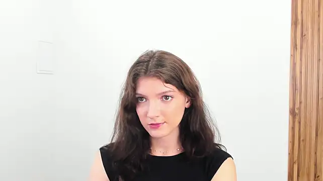 SophiaProve webcam
