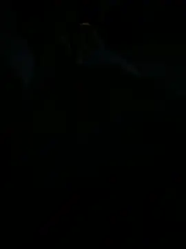 Kalisto2026 webcam